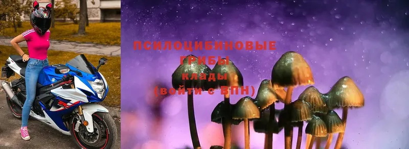 Галлюциногенные грибы Magic Shrooms  Биробиджан 